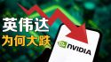 英伟达（NVDA）今天为什么大跌