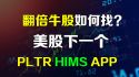 美股下一个PLTR HIMS APP