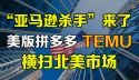 Temu怎么样