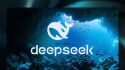 美股DeepSeek